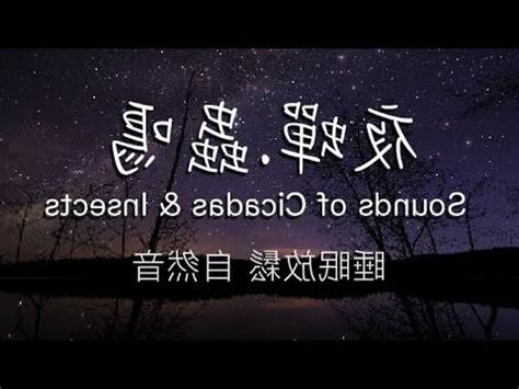蟬 晚上